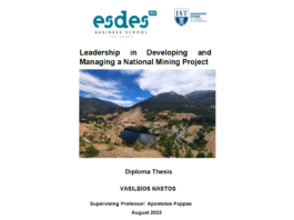 Leadership in Developing and Managing a National Mining Project

