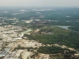 Tin Dredging Quartz Sand Miner, Pertamisi: Legal Vacuum Makes Intake Minerals Uncontrolled
