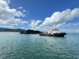 PLN EPI Ensures Secure Primary Energy Supply in New Year
