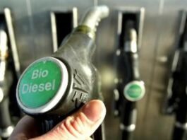 Biodiesel Mandatory Strengthens Energy Security, Government Targets to Stop Importing Diesel by 2026
