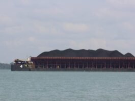 Bumi Resources (BUMI) Coal Production of 74.8 Million Tons in 2025
